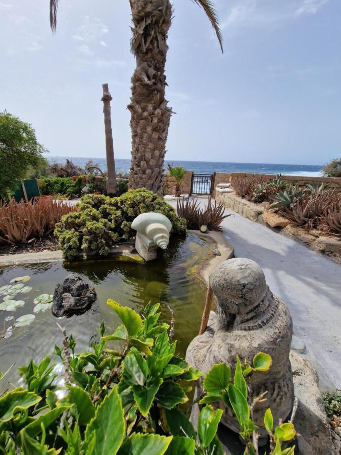 גרנדילה דה אבונה Little Paradise In El Medano מראה חיצוני תמונה